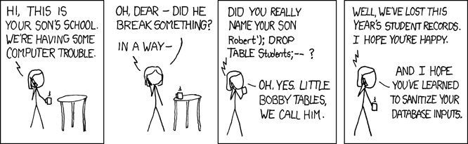 xkcd comic exploits of a mom